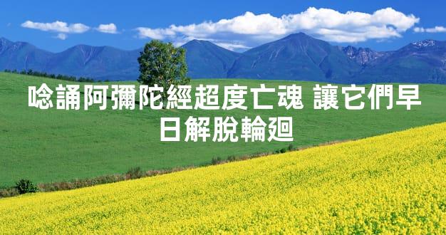 唸誦阿彌陀經超度亡魂 讓它們早日解脫輪廻